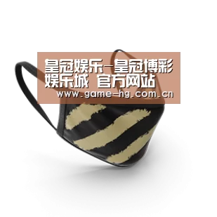 成人布口罩